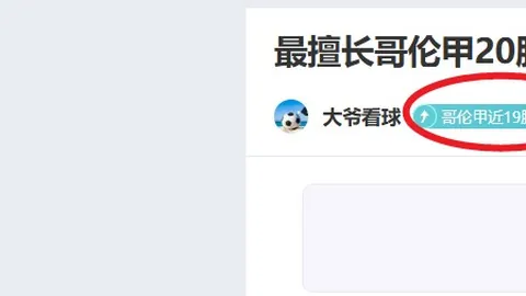热刺迎战纽卡斯尔，新英格兰主帅图赫尔英超观战选拔球员
