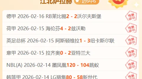 独行侠VS森林狼：NBA专场专家质合分析推荐