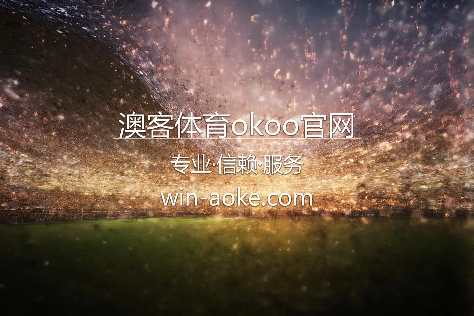 澳客体育okoo官网 App 界面